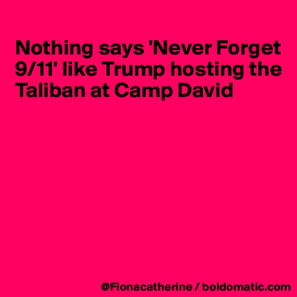 
Nothing says 'Never Forget
9/11' like Trump hosting the
Taliban at Camp David








