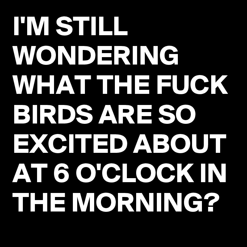 I'M STILL WONDERING WHAT THE FUCK BIRDS ARE SO EXCITED ABOUT AT 6 O'CLOCK IN THE MORNING?