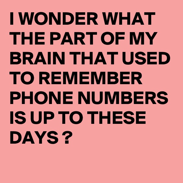 I WONDER WHAT THE PART OF MY BRAIN THAT USED TO REMEMBER PHONE NUMBERS IS UP TO THESE DAYS ? 
