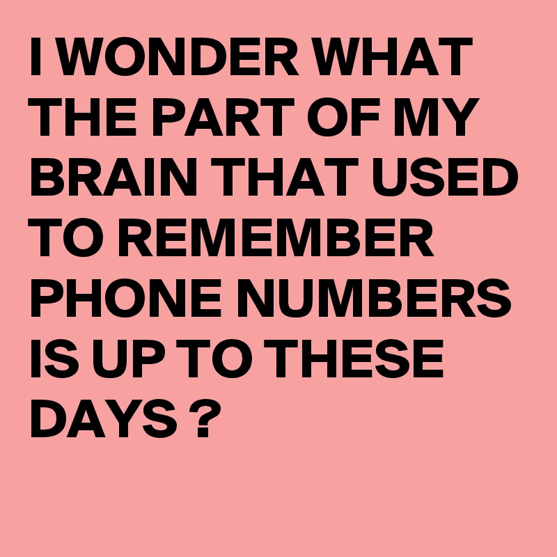 I WONDER WHAT THE PART OF MY BRAIN THAT USED TO REMEMBER PHONE NUMBERS IS UP TO THESE DAYS ? 

