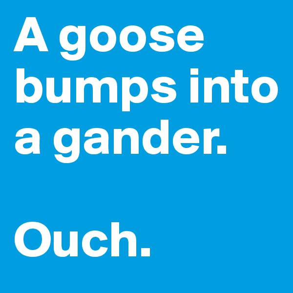 A goose bumps into a gander.

Ouch.