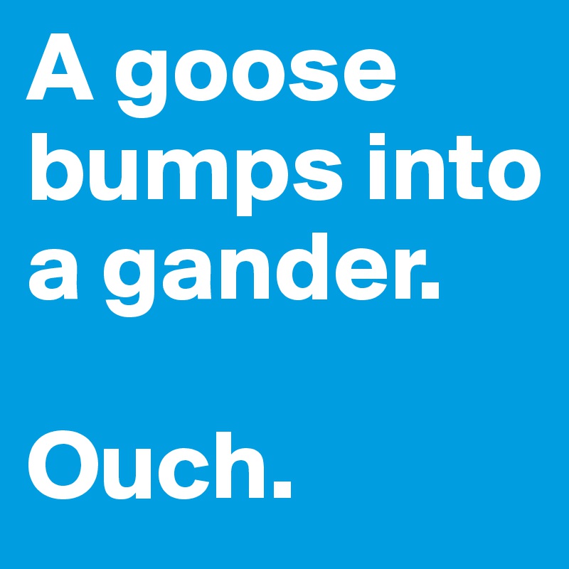 A goose bumps into a gander.

Ouch.