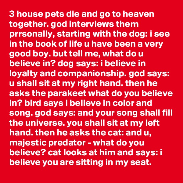 3 house pets die and go to heaven together. god interviews them prrsonally, starting with the dog: i see in the book of life u have been a very good boy. but tell me, what do u believe in? dog says: i believe in loyalty and companionship. god says: u shall sit at my right hand. then he asks the parakeet what do you believe in? bird says i believe in color and song. god says: and your song shall fill the universe. you shall sit at my left hand. then he asks the cat: and u, majestic predator - what do you believe? cat looks at him and says: i believe you are sitting in my seat.