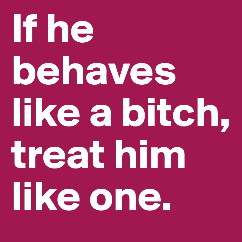 If he behaves like a bitch, treat him like one.