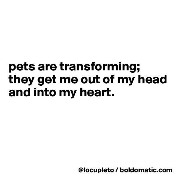



pets are transforming;
they get me out of my head
and into my heart. 




