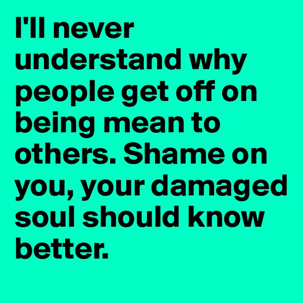 I'll never understand why people get off on being mean to others. Shame on you, your damaged soul should know better.
