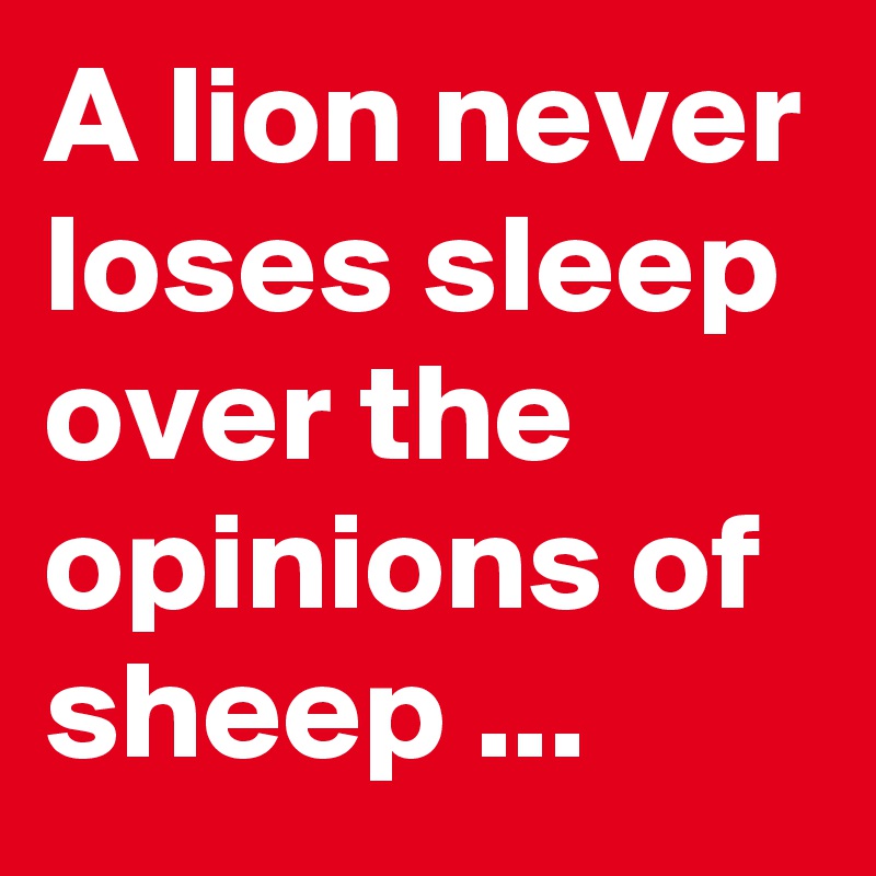 A lion never loses sleep over the opinions of sheep ...