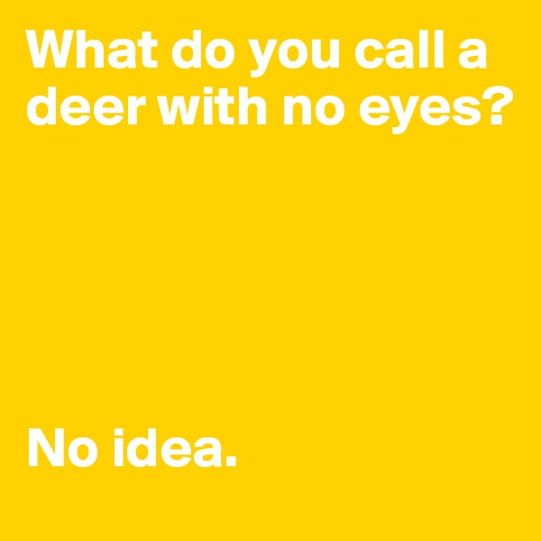 What do you call a deer with no eyes?





No idea.