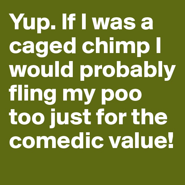Yup. If I was a caged chimp I would probably fling my poo too just for the comedic value!