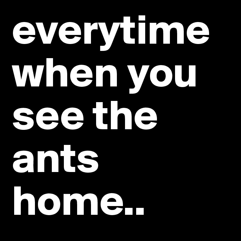everytimewhen you see the ants home..
