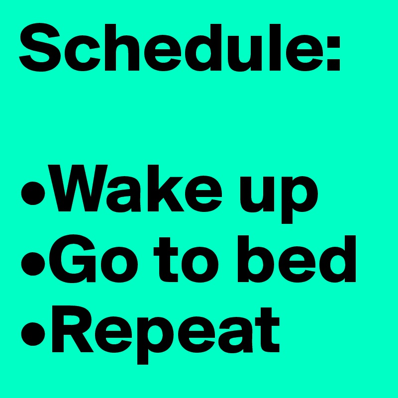 Schedule:

•Wake up
•Go to bed
•Repeat