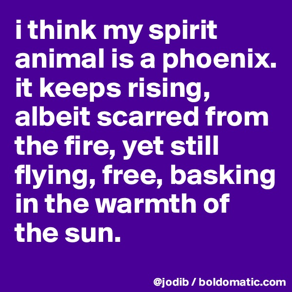 i think my spirit animal is a phoenix. 
it keeps rising, albeit scarred from the fire, yet still flying, free, basking in the warmth of the sun.