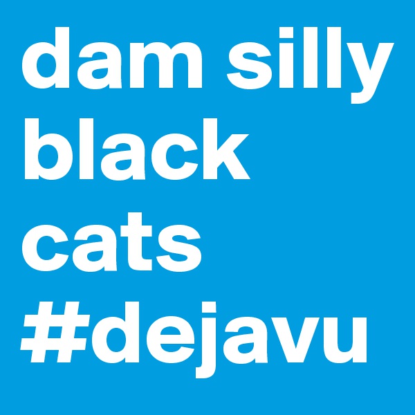 dam silly black cats #dejavu