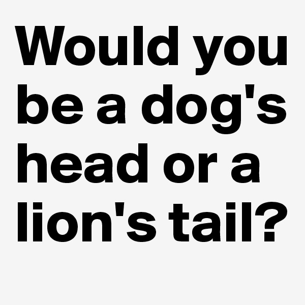 Would you be a dog's head or a lion's tail?