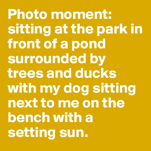 Photo moment: sitting at the park in front of a pond surrounded by trees and ducks with my dog sitting next to me on the bench with a setting sun. 