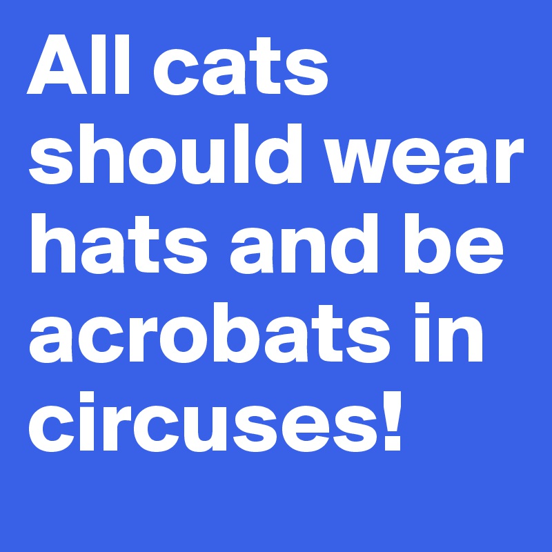 All cats should wear hats and be acrobats in circuses!