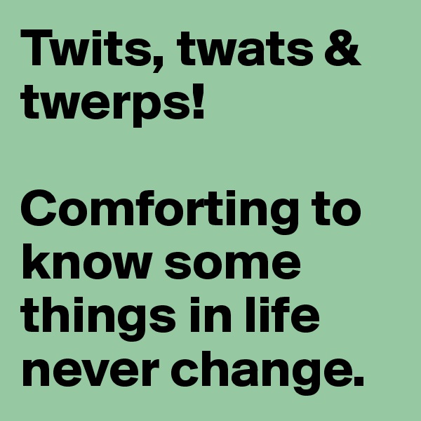 Twits, twats & twerps!

Comforting to know some things in life never change.
