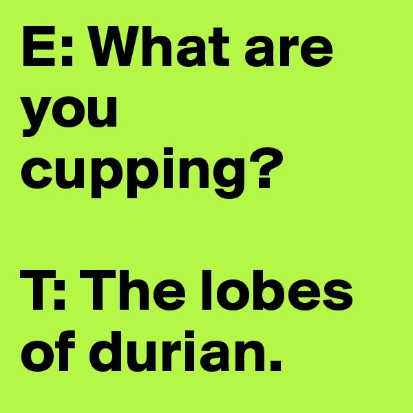 E: What are you cupping?

T: The lobes of durian.