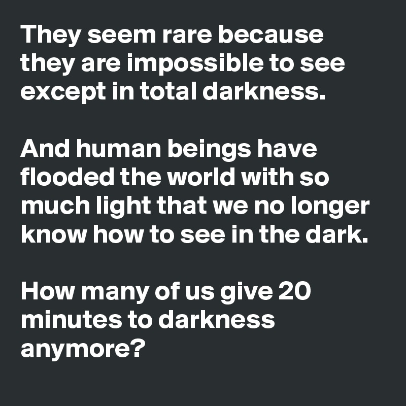 They seem rare because they are impossible to see except in total darkness. 

And human beings have flooded the world with so much light that we no longer know how to see in the dark.

How many of us give 20 minutes to darkness anymore?