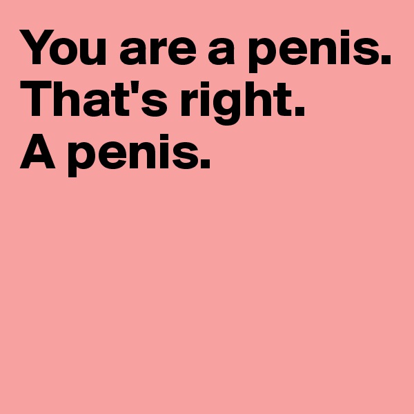 You are a penis. That's right. 
A penis. 



