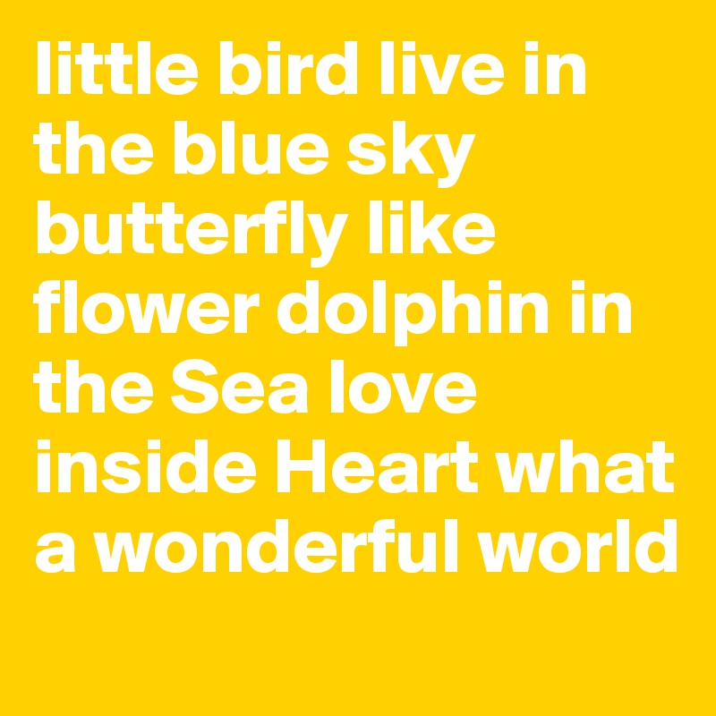 little bird live in the blue sky butterfly like flower dolphin in the Sea love inside Heart what a wonderful world 