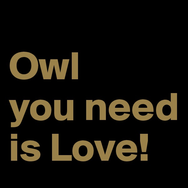 
Owl 
you need is Love!