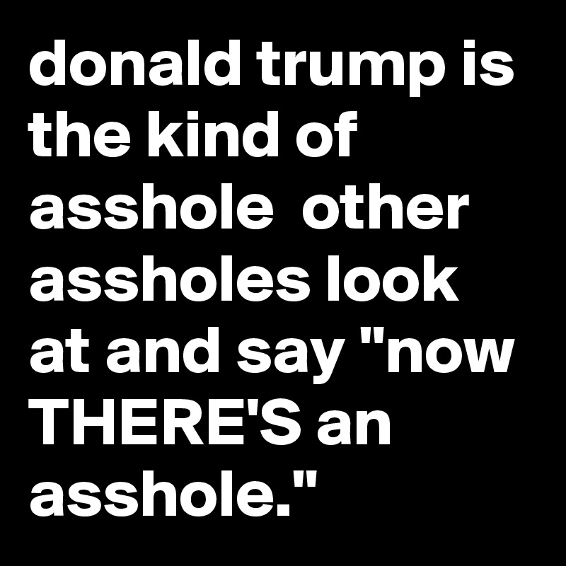 donald trump is the kind of asshole  other assholes look at and say "now THERE'S an asshole."