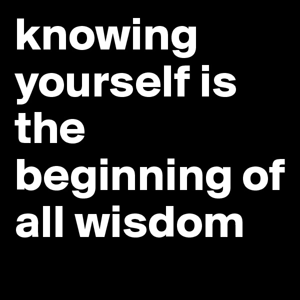 knowing yourself is the beginning of all wisdom 