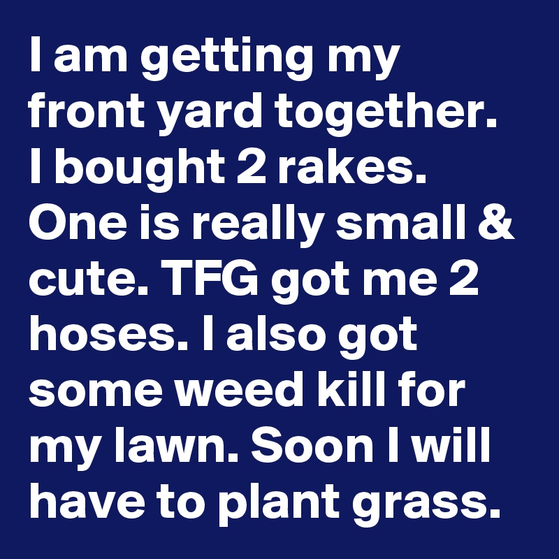 I am getting my front yard together. I bought 2 rakes. One is really small & cute. TFG got me 2 hoses. I also got some weed kill for my lawn. Soon I will have to plant grass.