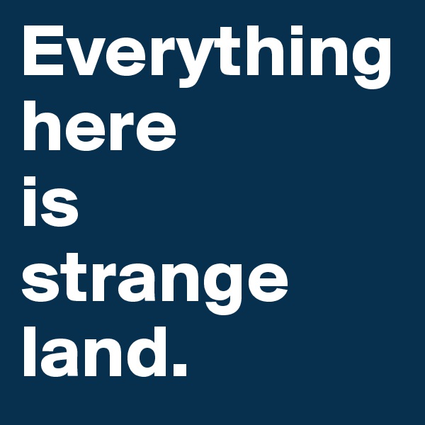 Everything here
is 
strange land. 