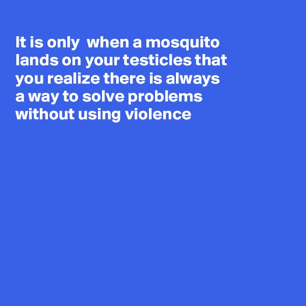 
It is only  when a mosquito 
lands on your testicles that
you realize there is always
a way to solve problems 
without using violence 








