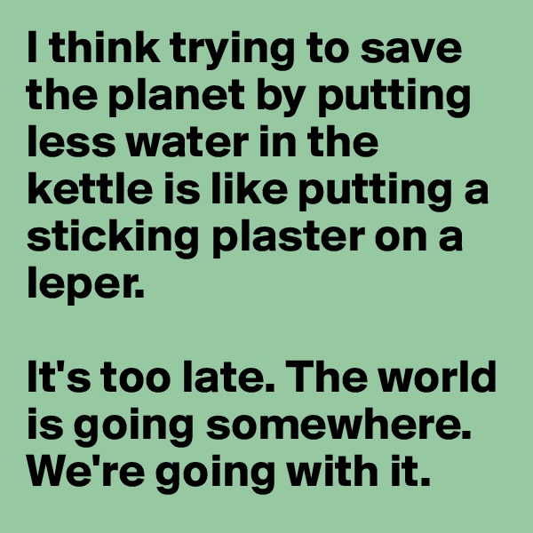 I think trying to save the planet by putting less water in the kettle is like putting a sticking plaster on a leper.

It's too late. The world is going somewhere. We're going with it.