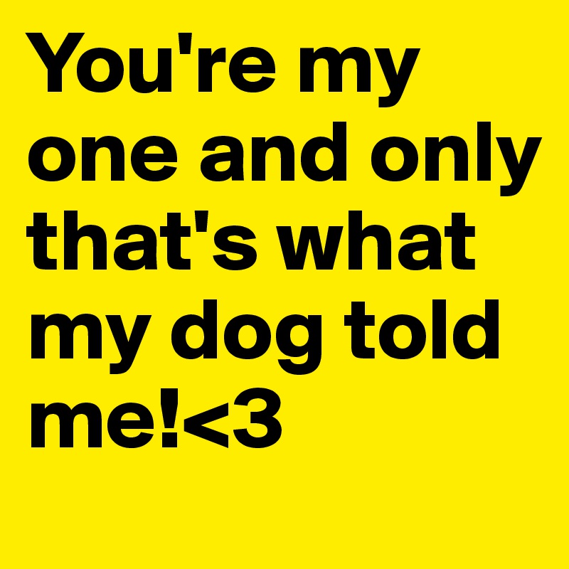 You're my one and only that's what my dog told me!<3
