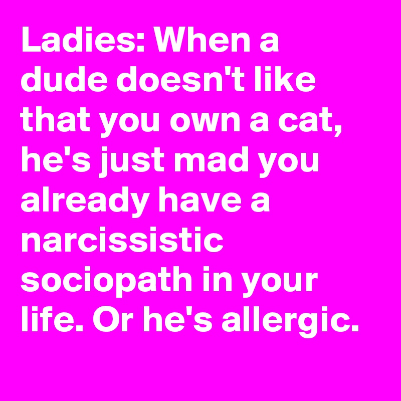 Ladies: When a dude doesn't like that you own a cat, he's just mad you already have a narcissistic sociopath in your life. Or he's allergic.