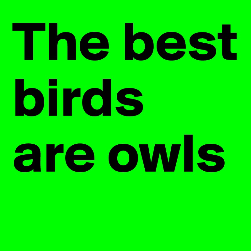 The best birds are owls