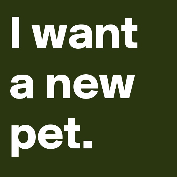 I want a new pet.