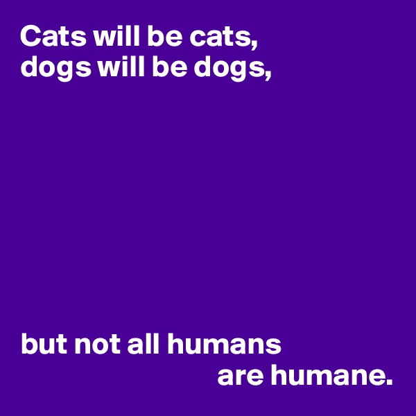 Cats will be cats,
dogs will be dogs,








but not all humans
                                are humane.