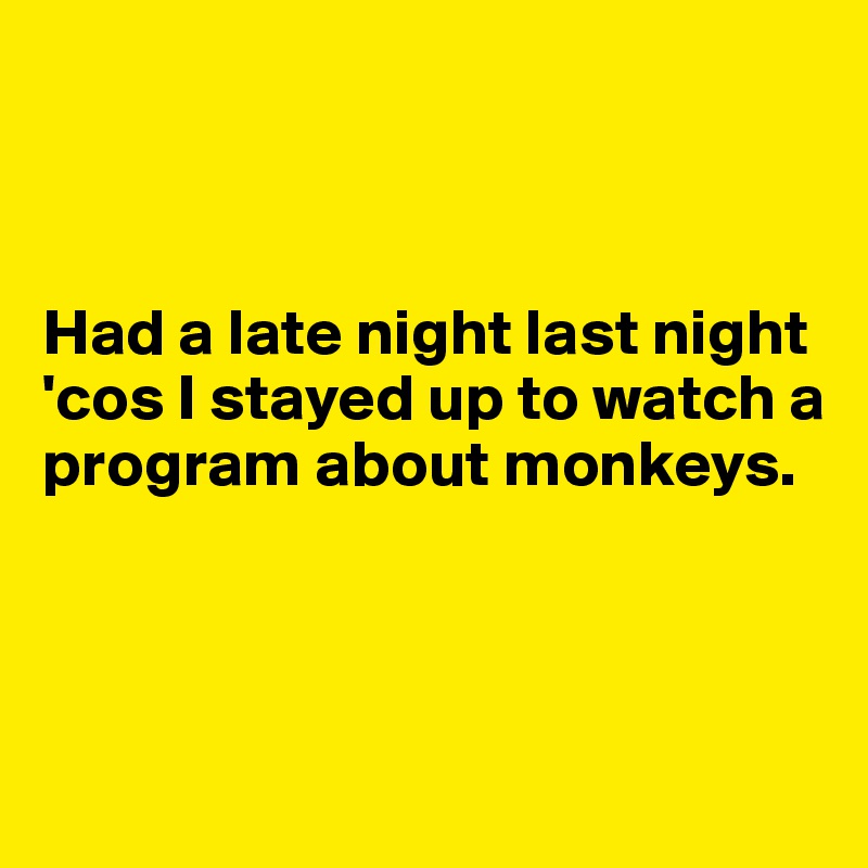 



Had a late night last night 'cos I stayed up to watch a program about monkeys.



