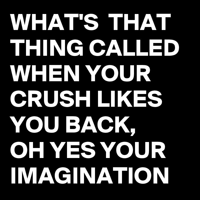 WHAT'S  THAT THING CALLED WHEN YOUR CRUSH LIKES YOU BACK,
OH YES YOUR IMAGINATION 