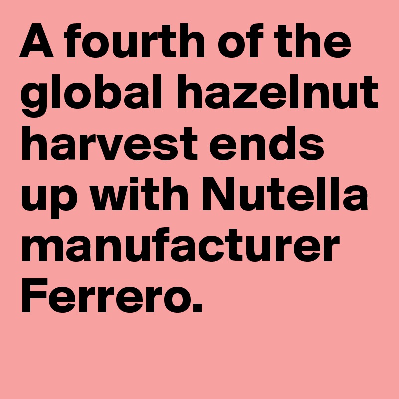 A fourth of the global hazelnut harvest ends up with Nutella manufacturer Ferrero.