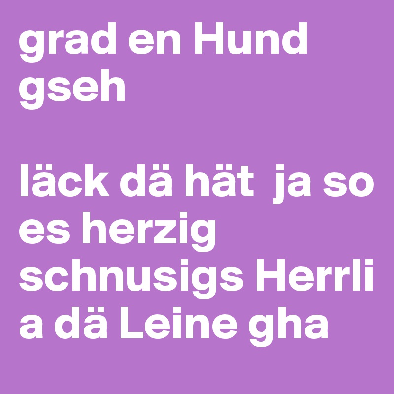 grad en Hund gseh

läck dä hät  ja so es herzig schnusigs Herrli a dä Leine gha