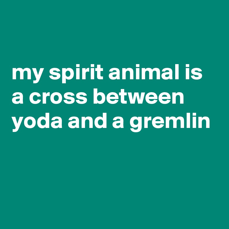

my spirit animal is a cross between yoda and a gremlin



