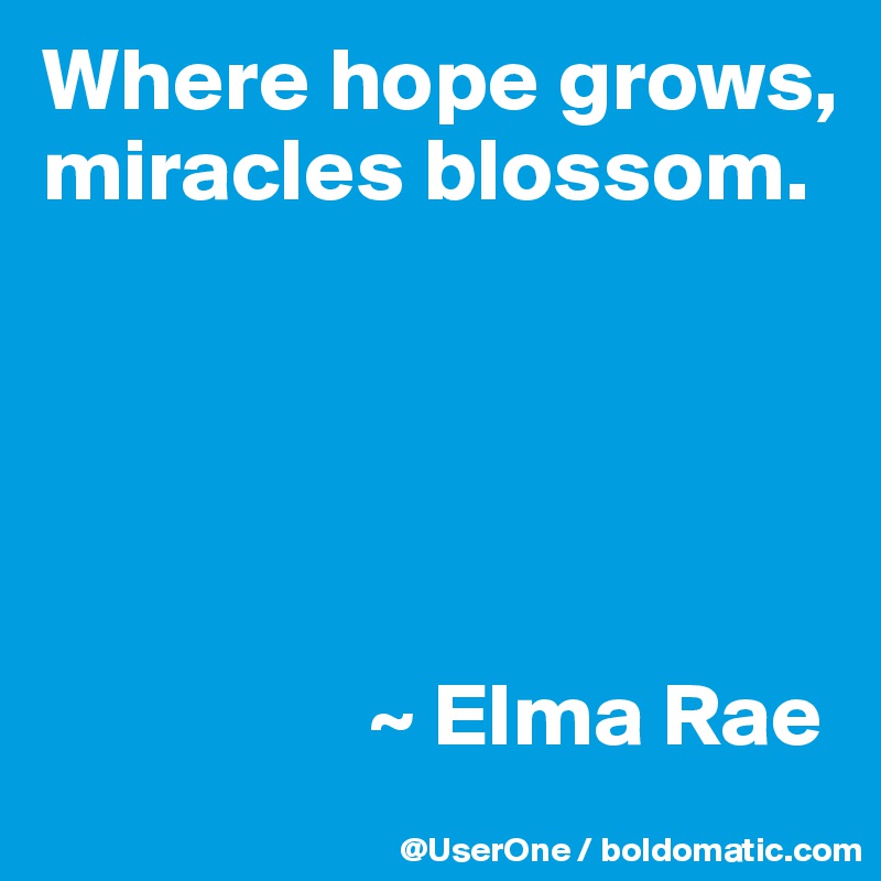 Where hope grows, miracles blossom.





                  ~ Elma Rae