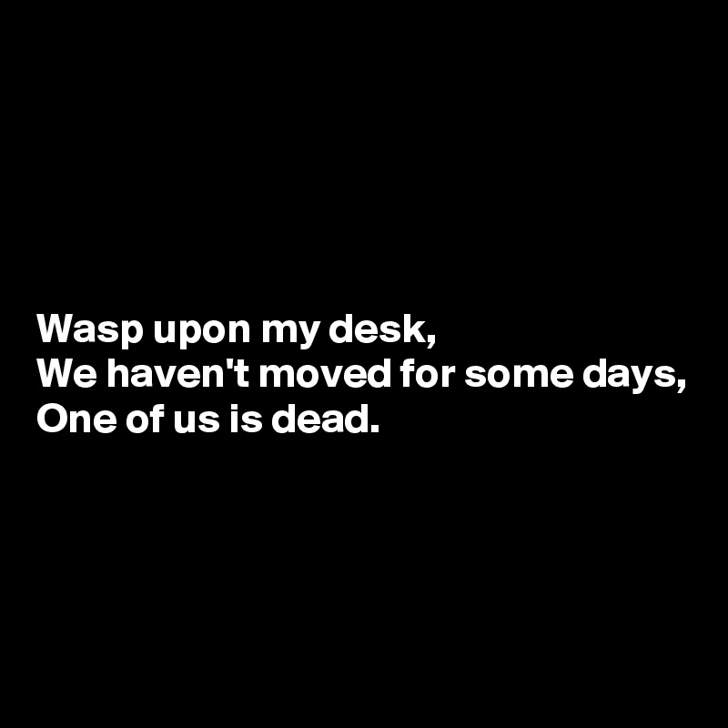 





Wasp upon my desk,
We haven't moved for some days,
One of us is dead.




