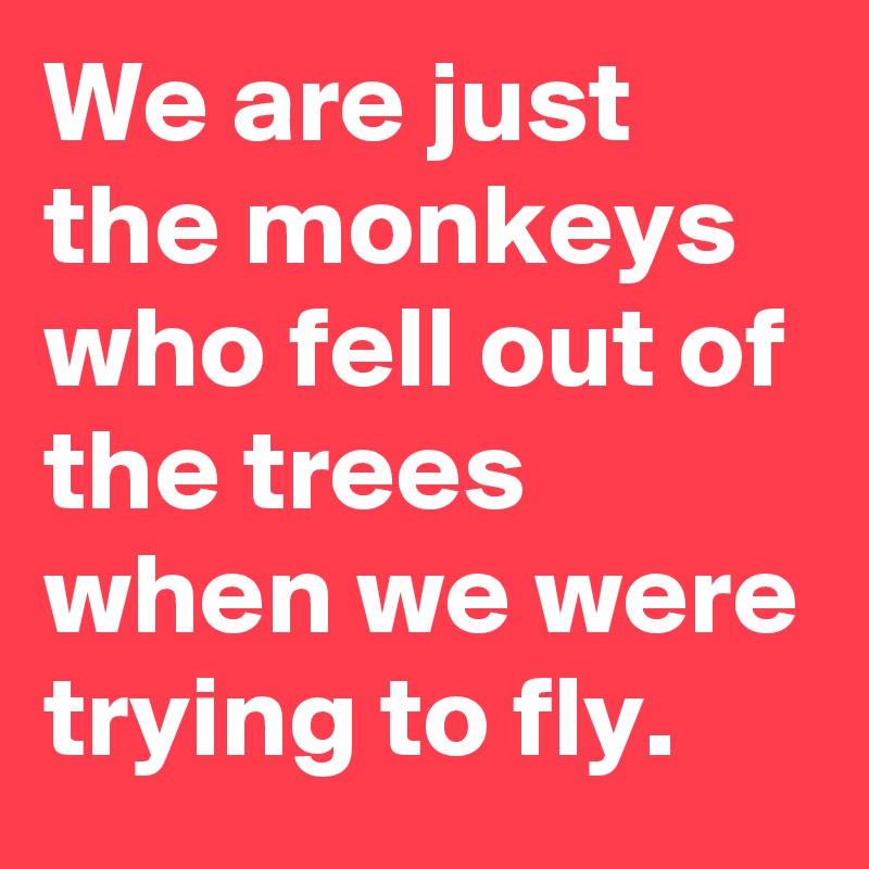 We are just the monkeys who fell out of the trees when we were trying to fly. 