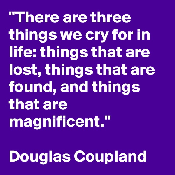 "There are three things we cry for in life: things that are lost, things that are found, and things that are magnificent."

Douglas Coupland