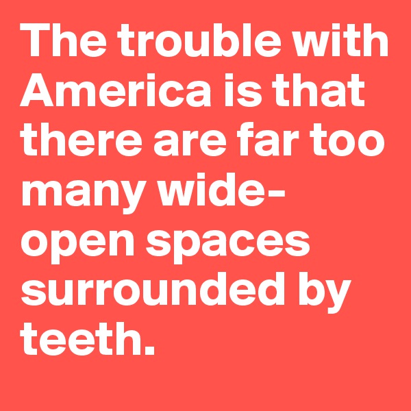The trouble with America is that there are far too many wide-open spaces surrounded by teeth.