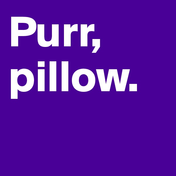Purr, 
pillow.