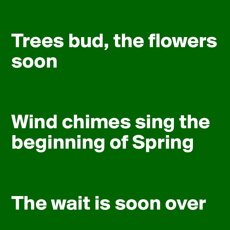
Trees bud, the flowers soon


Wind chimes sing the beginning of Spring


The wait is soon over