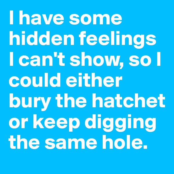 I have some hidden feelings I can't show, so I could either bury the hatchet or keep digging the same hole. 